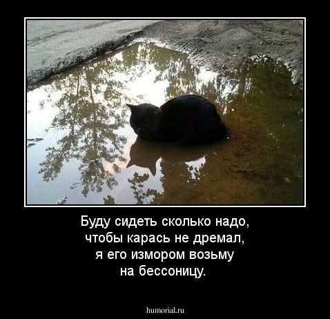 Буду сидеть сколько надо, чтобы карась не дремал, я его измором возьму на бессоницу.