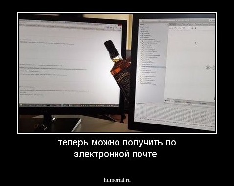 теперь можно получить по электронной почте