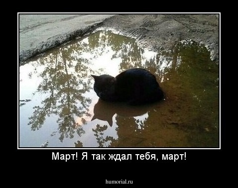 Март! Я так ждал тебя, март!