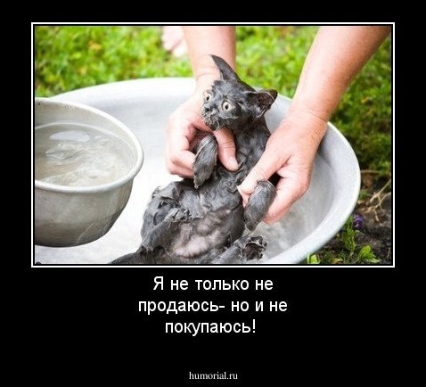 Я не только не продаюсь- но и не покупаюсь!