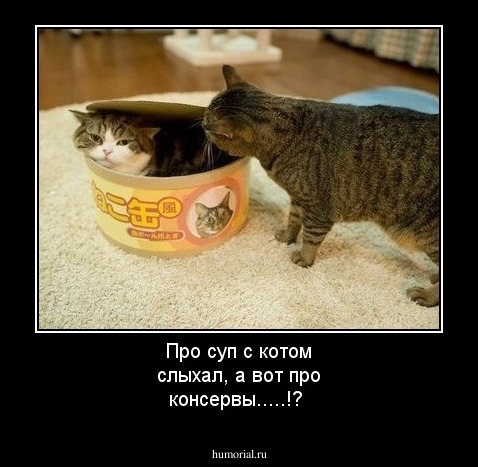 Про суп с котом слыхал, а вот про консервы.....!?
