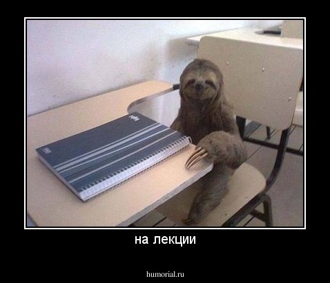на лекции