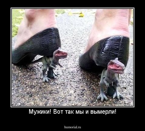 Мужики! Вот так мы и вымерли!