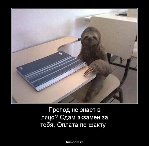 Препод не знает в лицо? Сдам экзамен за тебя. Оплата по факту.