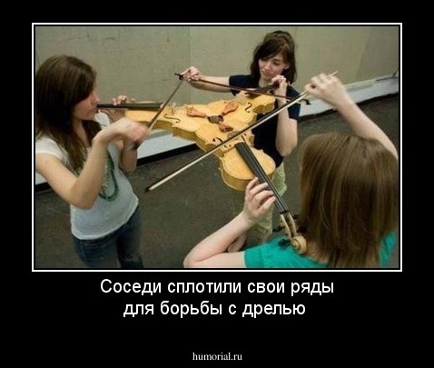 Соседи сплотили свои ряды для борьбы с  дрелью