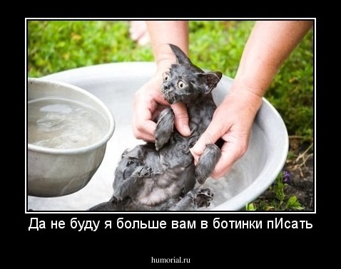 Да не буду я больше вам в ботинки пИсать