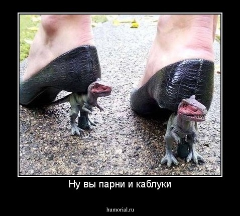 Ну вы парни и каблуки