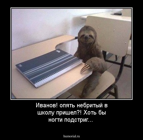 Иванов! опять небритый в школу пришел?! Хоть бы ногти подстриг...