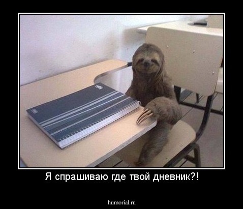 Я спрашиваю где твой дневник?!