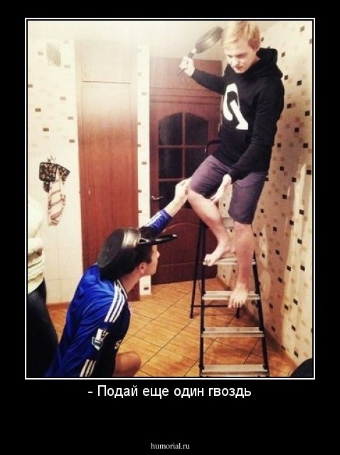 - Подай еще один гвоздь
