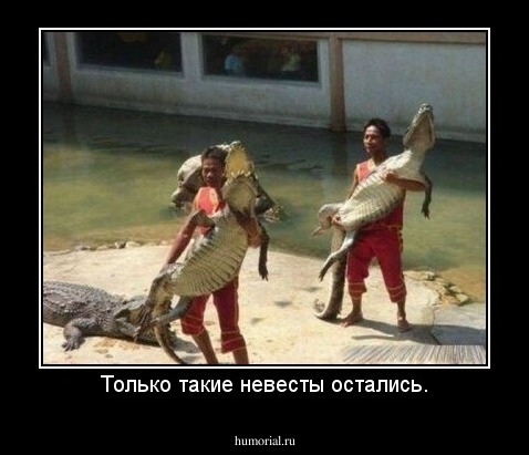 Только такие невесты остались.
