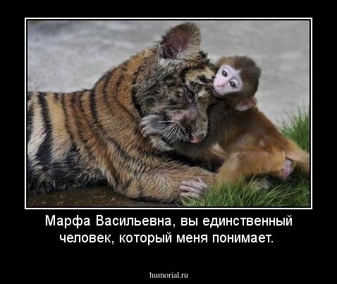 Марфа Васильевна, вы единственный человек, который меня понимает.