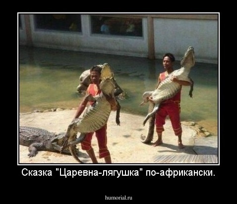 Сказка "Царевна-лягушка" по-африкански.