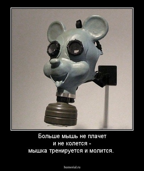 Больше мышь не плачет и не колется - мышка тренируется и молится.