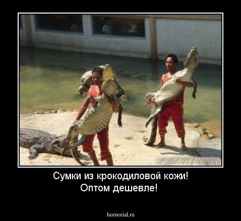 Сумки из крокодиловой кожи! Оптом дешевле!