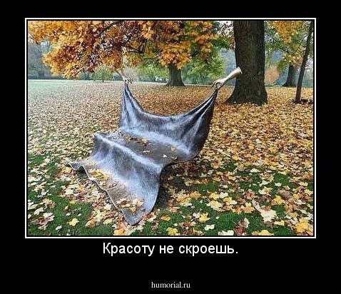 Красоту не скроешь.
