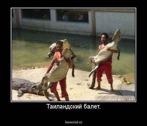 Таиландский балет.