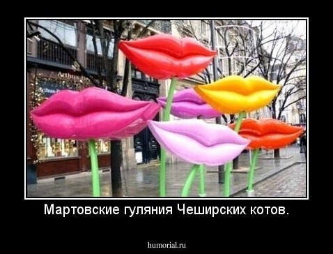 Мартовские гуляния Чеширских котов.
