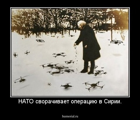 НАТО сворачивает операцию в Сирии.