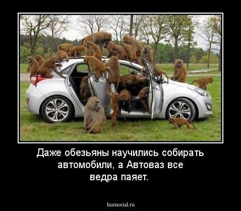 Даже обезьяны научились собирать автомобили, а Автоваз все ведра паяет.