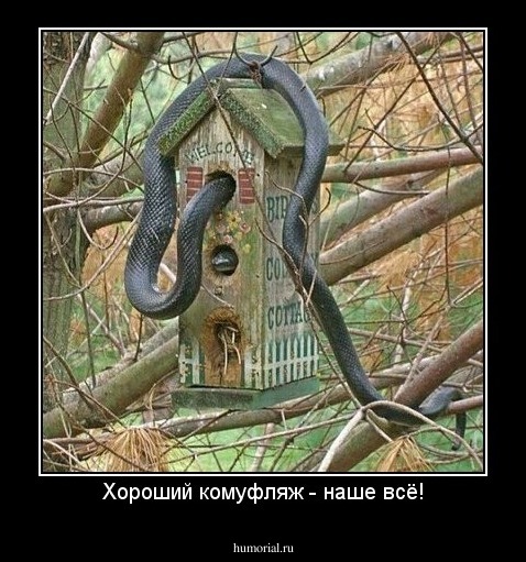 Хороший комуфляж - наше всё!