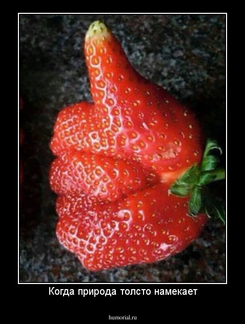 Когда природа толсто намекает