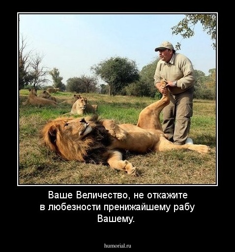 Ваше Величество, не откажите в любезности пренижайшему рабу Вашему.