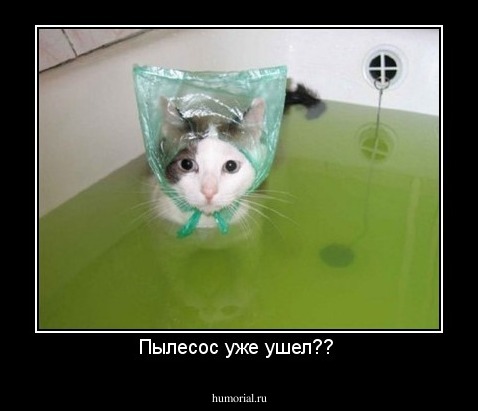 Пылесос уже ушел?? 
