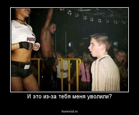 И это из-за тебя меня уволили?