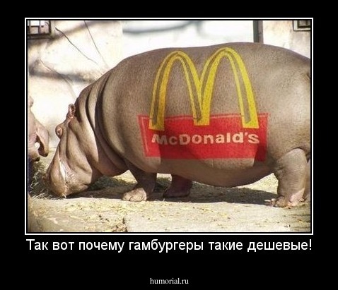 Так вот почему гамбургеры такие дешевые!