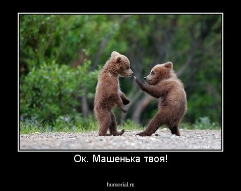 Ок. Машенька твоя!