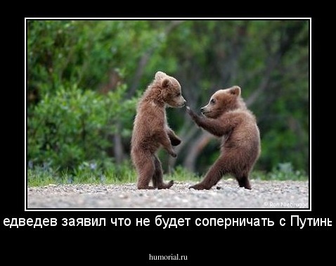 Медведев заявил что не будет соперничать с Путиным