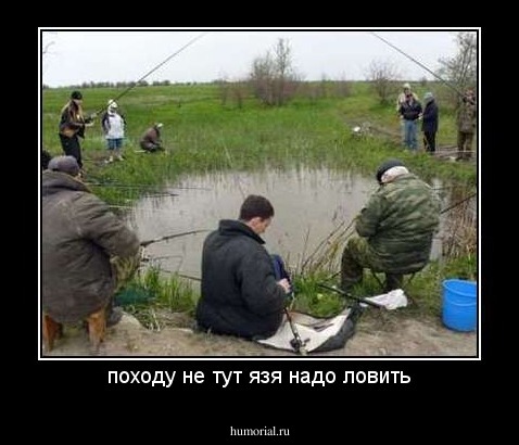 походу не тут язя надо ловить
