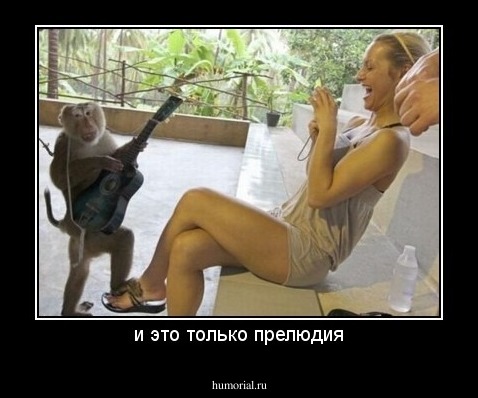 и это только прелюдия