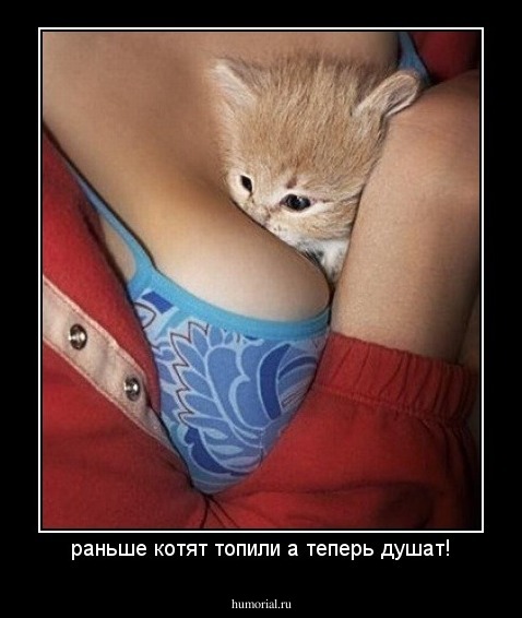 раньше котят топили а теперь душат!