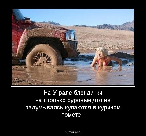 На У рале блондинки на столько суровые,что не задумываясь купаются в курином помете.