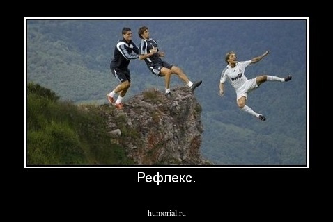 Рефлекс.