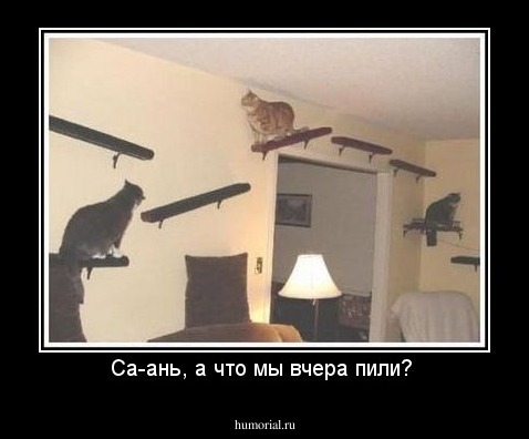 Са-ань, а что мы вчера пили? 