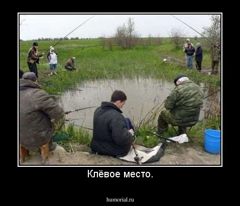 Клёвое место.
