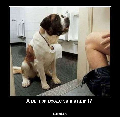 А вы при входе заплатили !? 