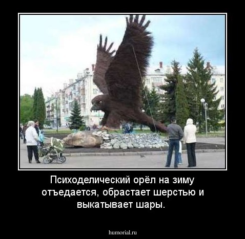 Психоделический орёл на зиму отъедается, обрастает шерстью и выкатывает шары.