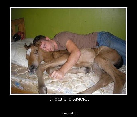 ..после скачек..