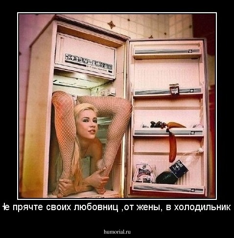 Не прячте своих любовниц ,от жены, в холодильнике