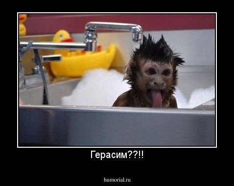 Герасим??!!