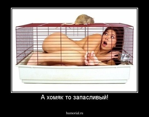 А хомяк то запасливый!
