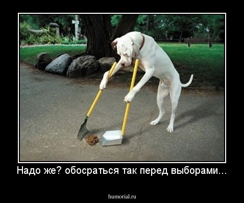 Надо же? обосраться так перед выборами...
