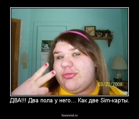 ДВА!!! Два пола у него... Как две Sim-карты.