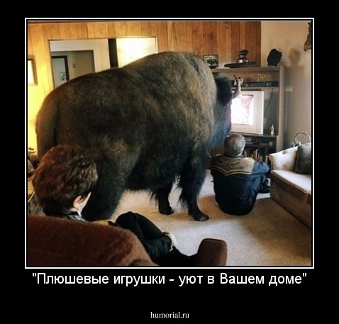 "Плюшевые игрушки - уют в Вашем доме"
