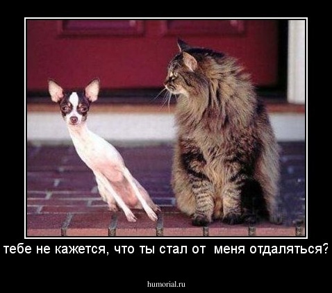 тебе не кажется, что ты стал от  меня отдаляться?