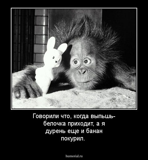Говорили что, когда выпьшь- белочка приходит, а я дурень еще и банан покурил.